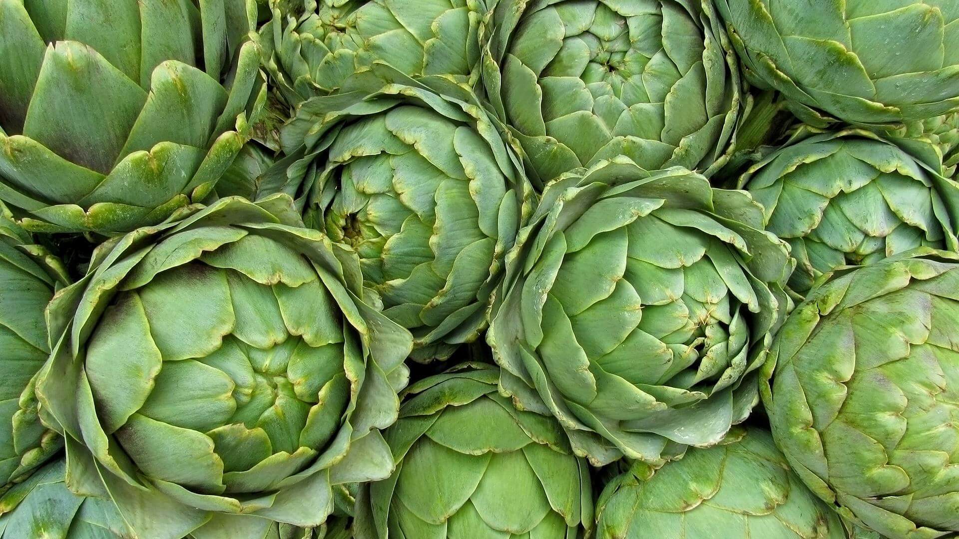 Doğanın En Zarif Şifası: Enginar