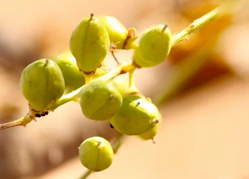 Kıymeti Bilinmeyen: Akgünlük’ün Sessiz Gücü
