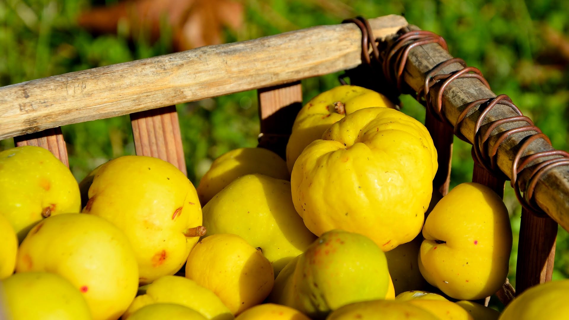 Şimdi 'Ayvayı Yeme' Zamanı