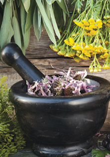 Tıbbi ve Aromatik Bitkiler Üzerine