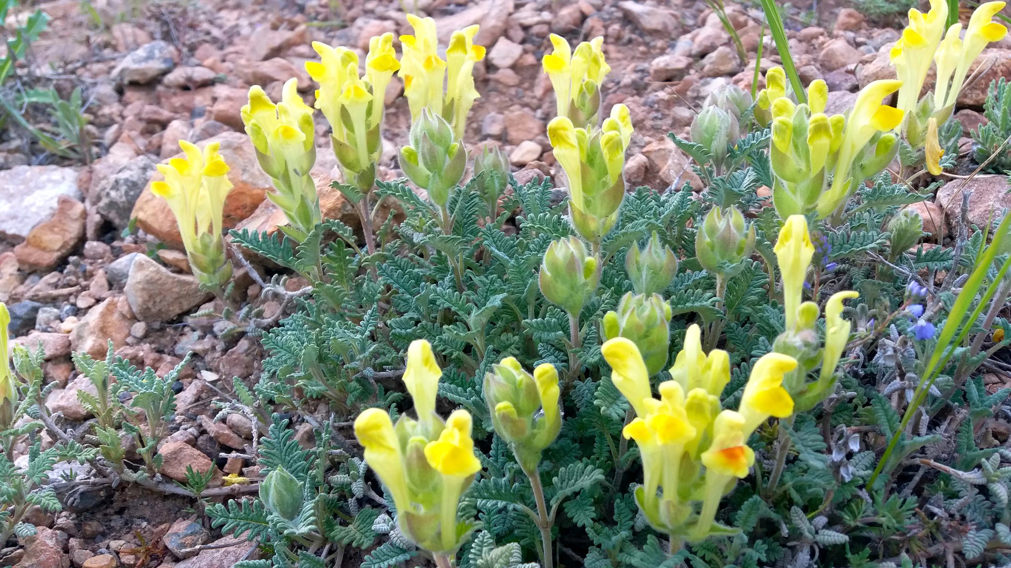 Toprağın Kökünde Gizlenen Nefes ve Denge