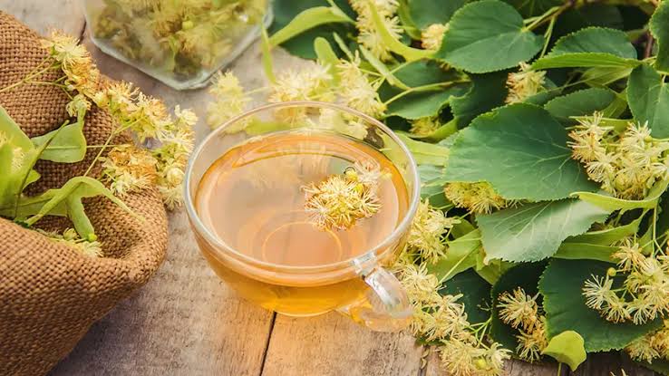 Zamana Koku Katan Ağaç: Ihlamur